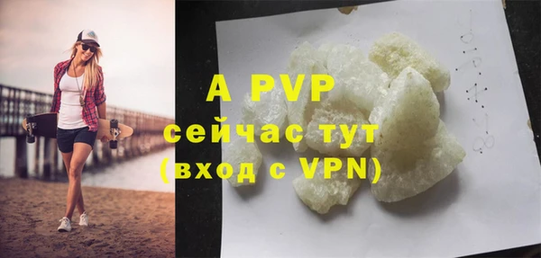 индика Нягань