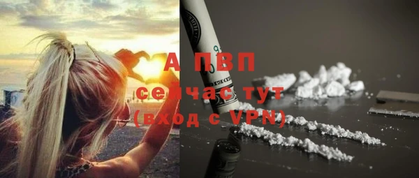 a pvp Осинники