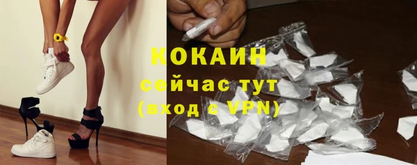 прущий лед Алзамай