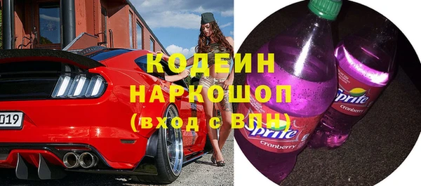 прущий лед Алзамай