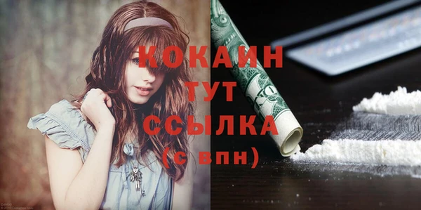 прущий лед Алзамай