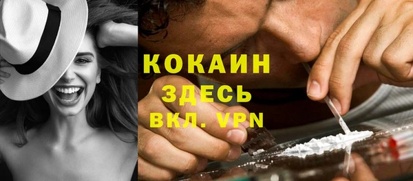 прущий лед Алзамай
