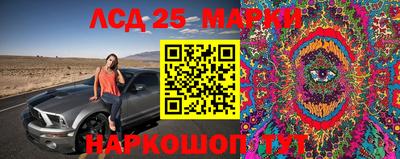 СК Гудермес
