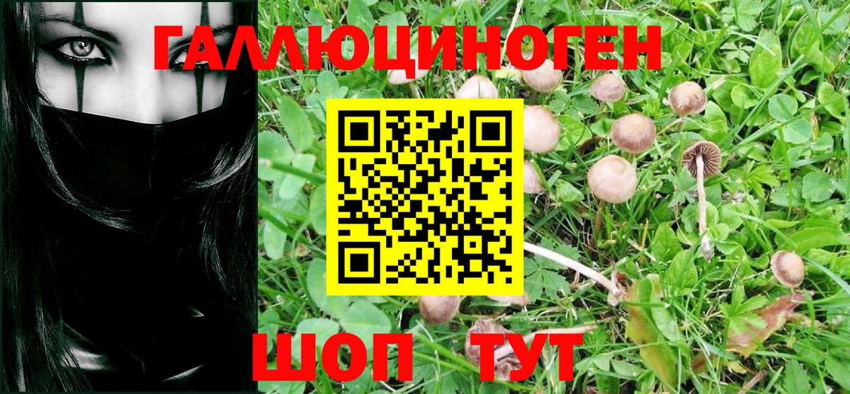 Галлюциногенные грибы MAGIC MUSHROOMS Усть-Лабинск