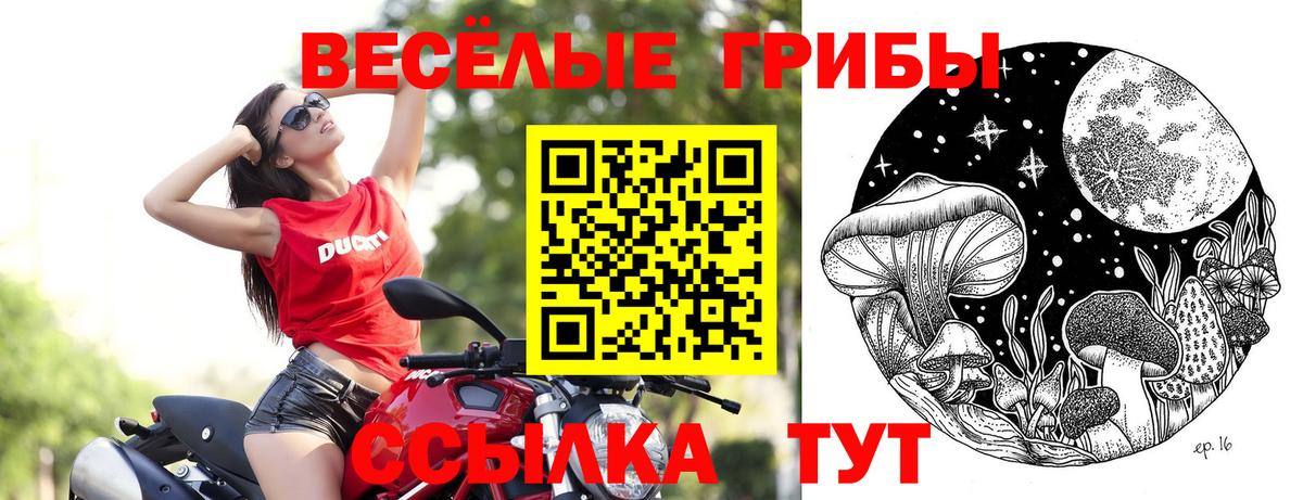 ГАШ  Кокаин  Меф МЯУ МЯУ кристаллы  Метадон  Усть-Лабинск  МАРИХУАНА  Вход с VPN  ГАШИШ  MDMA 